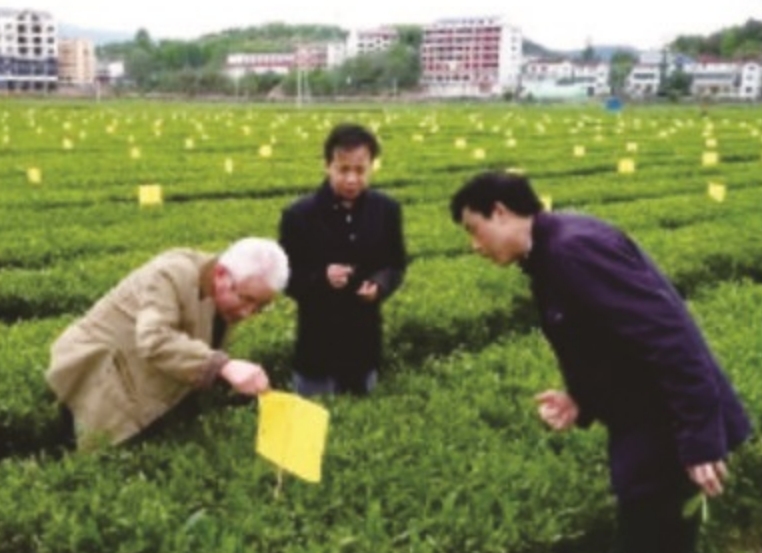 ���Ͼ۷��ҵ���޹�˾